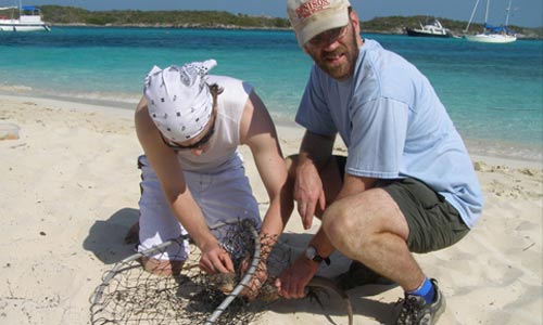 Photo of two people on the seashore retrieving the pray from the net 