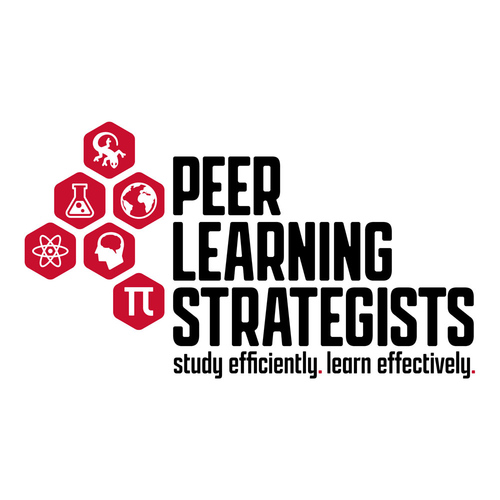Peer Learning Strategists logo